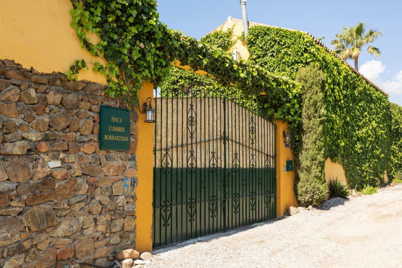 Hanami Finca Cumbres Borrascosas 에스테포나 외부 사진